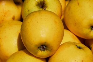 ズワイガニ通販の口コミと評判はどこで確認できる？