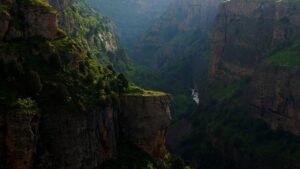年末におすすめのズワイガニ通販予約のポイントは？