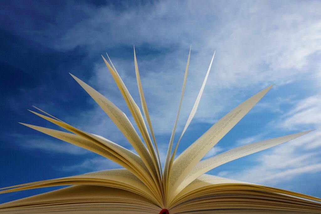 タラバガニを楽しむためのおすすめ店はどこですか？