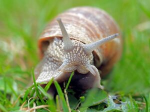 初めてカニ鍋を楽しむために準備するものは？