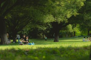 カニ通販で4人家族が満足できるおすすめ商品は？