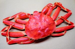 ズワイガニの通販でおすすめはどれ？